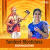 Tamburi Meetidava
